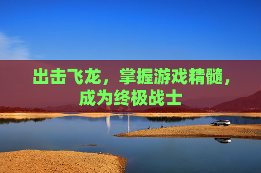 出击飞龙，掌握游戏精髓，成为终极战士