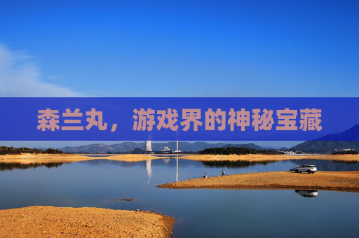 森兰丸，游戏界的神秘宝藏
