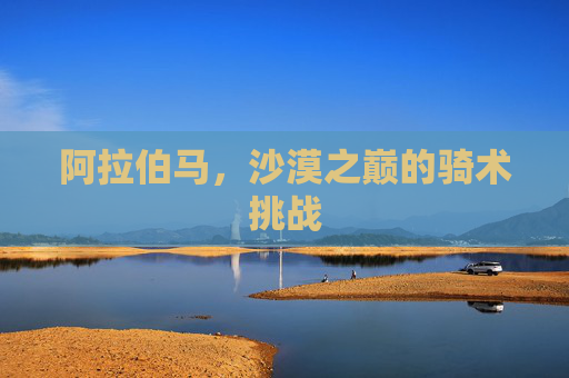 阿拉伯马，沙漠之巅的骑术挑战
