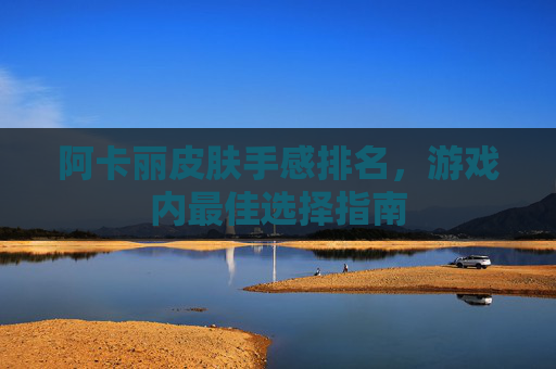 阿卡丽皮肤手感排名，游戏内最佳选择指南