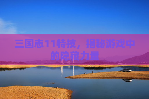 三国志11特技，揭秘游戏中的隐藏力量