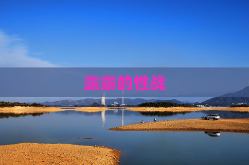 露露的性战