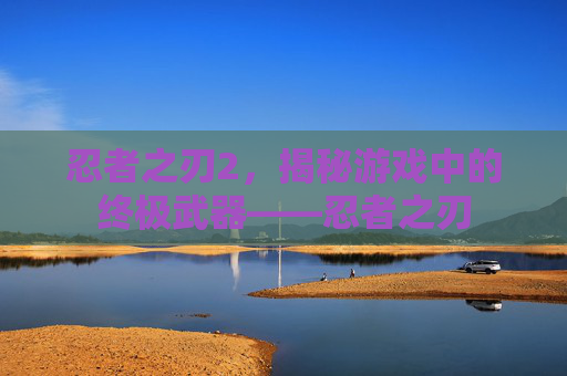 忍者之刃2，揭秘游戏中的终极武器——忍者之刃