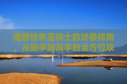 魔兽世界圣骑士的终极指南，从新手到高手的全方位攻略