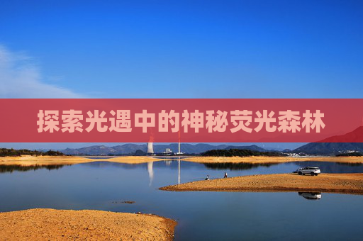 探索光遇中的神秘荧光森林