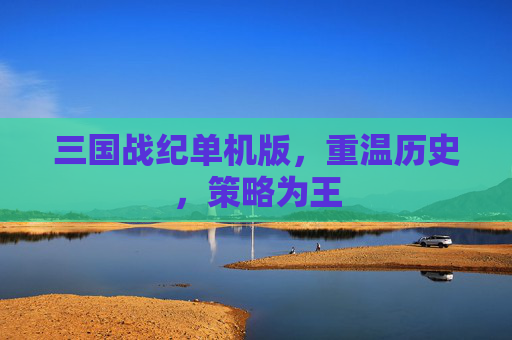 三国战纪单机版，重温历史，策略为王