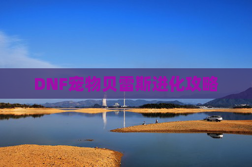 DNF宠物贝雷斯进化攻略
