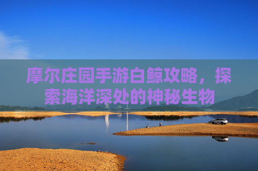 摩尔庄园手游白鲸攻略，探索海洋深处的神秘生物
