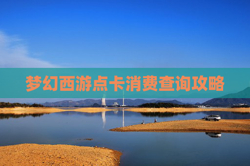 梦幻西游点卡消费查询攻略