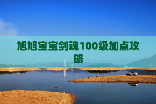 旭旭宝宝剑魂100级加点攻略