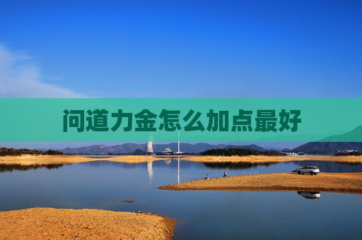 问道力金怎么加点最好