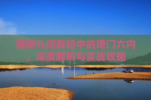 揭秘九阴真经中的唐门六内，深度解析与实战攻略