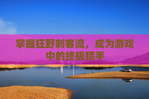 掌握狂野刺客流,成为游戏中的终极猎手 掌握狂野刺客流,成为游戏中的终极猎手
