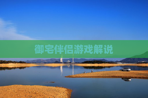 御宅伴侣游戏解说