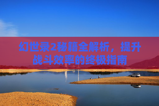 幻世录2秘籍全解析，提升战斗效率的终极指南