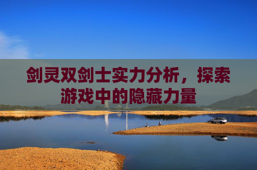 剑灵双剑士实力分析，探索游戏中的隐藏力量