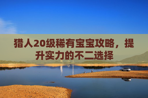猎人20级稀有宝宝攻略，提升实力的不二选择