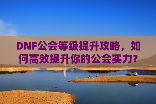 DNF公会等级提升攻略，如何高效提升你的公会实力？