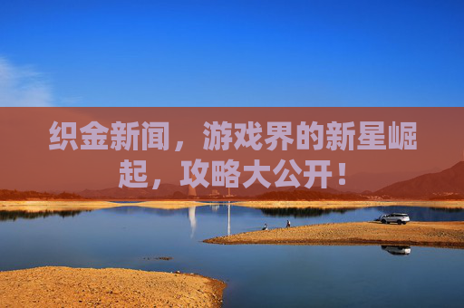织金新闻,游戏界的新星崛起,攻略大公开! 织金新闻,游戏界的新星崛起,攻略大公开!