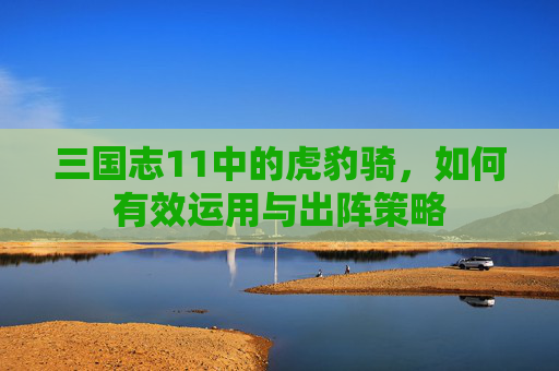 三国志11中的虎豹骑，如何有效运用与出阵策略