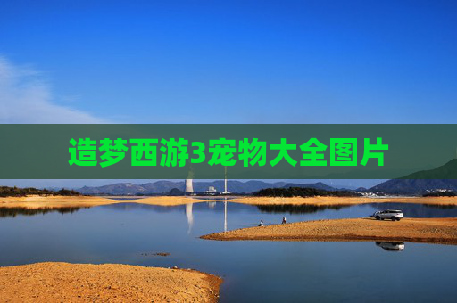 造梦西游3宠物大全图片 造梦西游3宠物大全图片