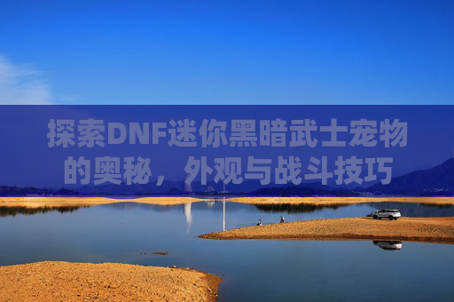 探索DNF迷你黑暗武士宠物的奥秘,外观与战斗技巧 探索DNF迷你黑暗武士宠物的奥秘,外观与战斗技巧