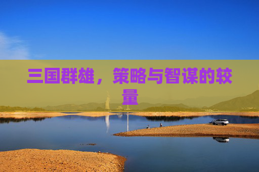 三国群雄，策略与智谋的较量