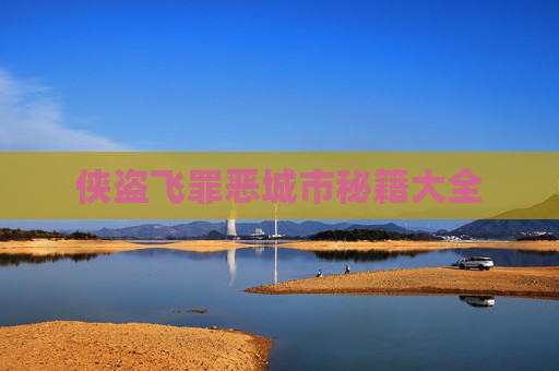 侠盗飞罪恶城市秘籍大全