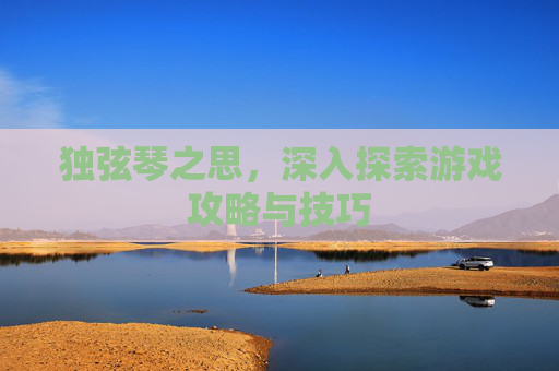 独弦琴之思,深入探索游戏攻略与技巧 独弦琴之思,深入探索游戏攻略与技巧