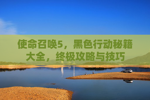 使命召唤5，黑色行动秘籍大全，终极攻略与技巧