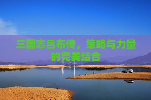 三国志吕布传,策略与力量的完美结合 三国志吕布传,策略与力量的完美结合