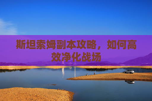 斯坦索姆副本攻略，如何高效净化战场