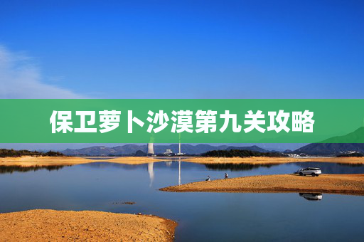 保卫萝卜沙漠第九关攻略