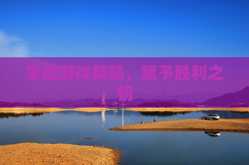 掌握游戏精髓，赋予胜利之钥
