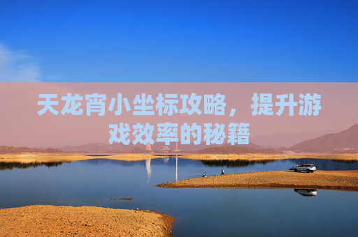 天龙宵小坐标攻略,提升游戏效率的秘籍 天龙宵小坐标攻略,提升游戏效率的秘籍