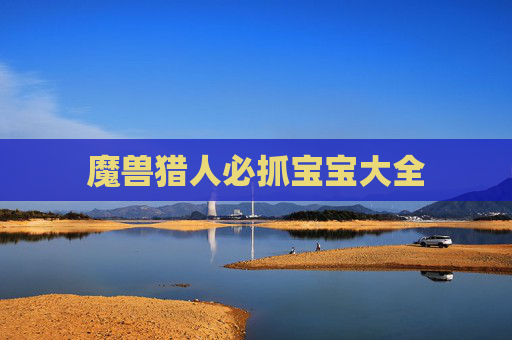 魔兽猎人必抓宝宝大全