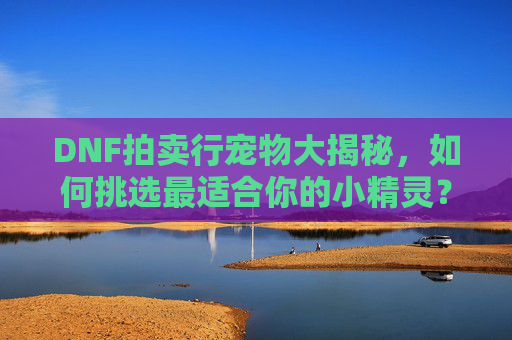 DNF拍卖行宠物大揭秘，如何挑选最适合你的小精灵？