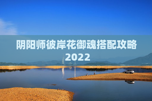 阴阳师彼岸花御魂搭配攻略 2022