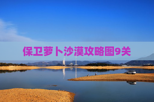 保卫萝卜沙漠攻略图9关