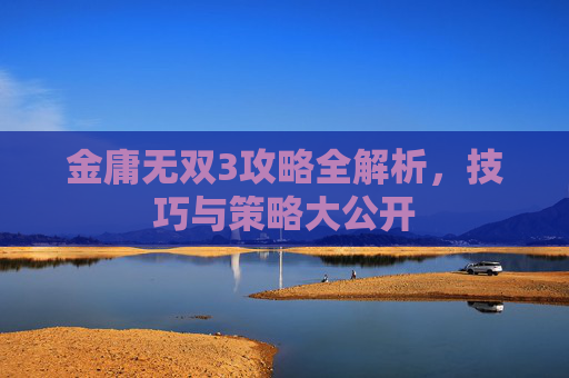 金庸无双3攻略全解析，技巧与策略大公开