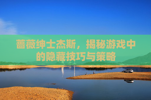 蔷薇绅士杰斯，揭秘游戏中的隐藏技巧与策略