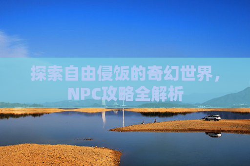 探索自由侵饭的奇幻世界，NPC攻略全解析