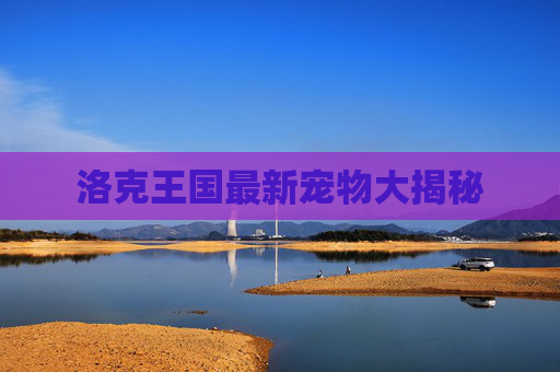 洛克王国最新宠物大揭秘 洛克王国最新宠物大揭秘