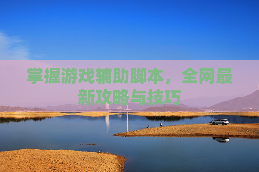 掌握游戏辅助脚本，全网最新攻略与技巧
