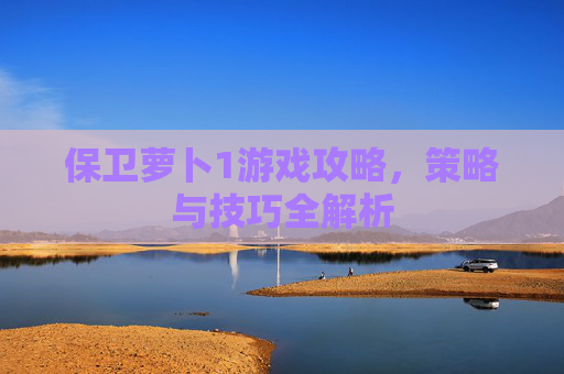 保卫萝卜1游戏攻略，策略与技巧全解析