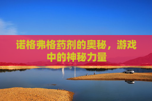 诺格弗格药剂的奥秘，游戏中的神秘力量