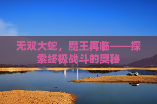 无双大蛇，魔王再临——探索终极战斗的奥秘