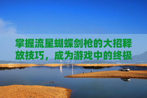掌握流星蝴蝶剑枪的大招释放技巧，成为游戏中的终极高手！