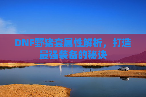 DNF野猪套属性解析，打造最强装备的秘诀
