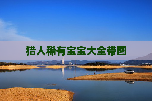 猎人稀有宝宝大全带图